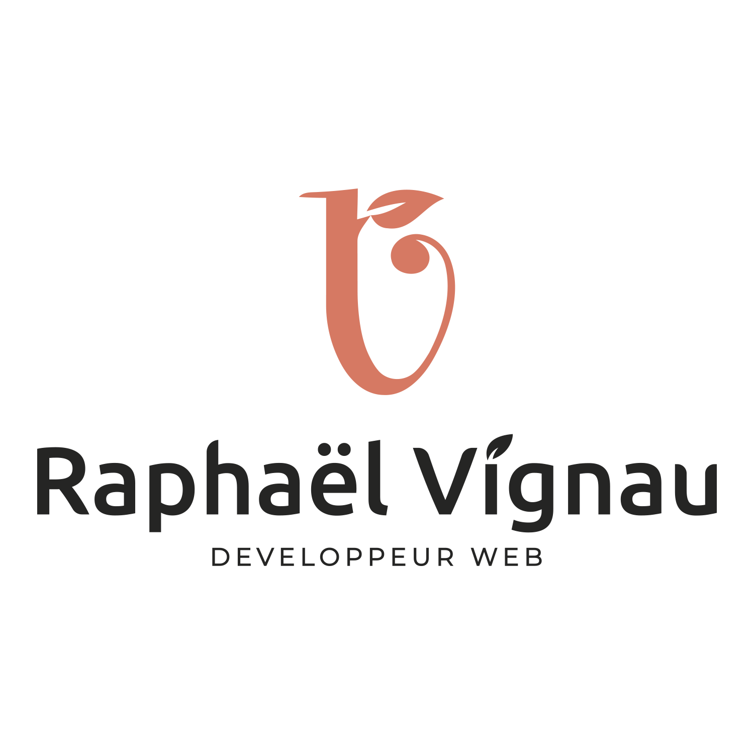logo de Raphael Vignau